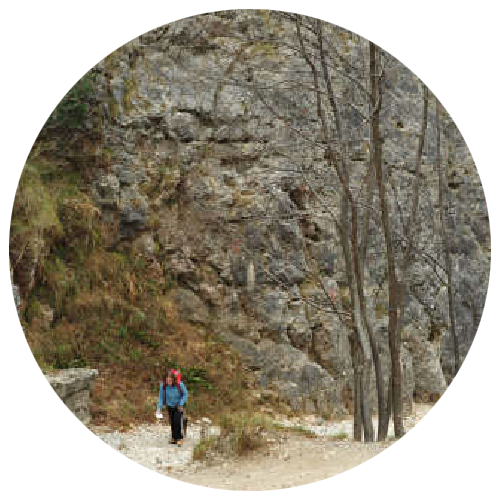 Valle